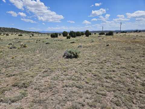 Tbd 8500 / Mesa Redondo Ranch Road, Concho, AZ 85924