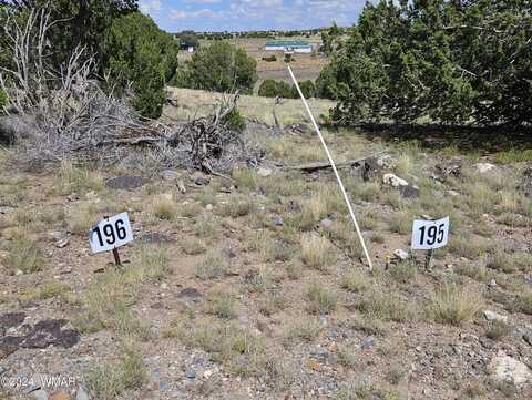 Tbd CR 8637, Lots 195 & 196, Concho, AZ 85924