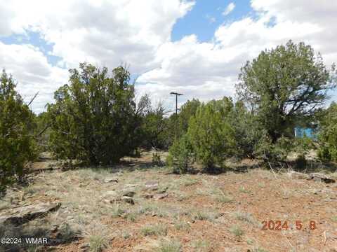 8380 Pinon Drive, Show Low, AZ 85901