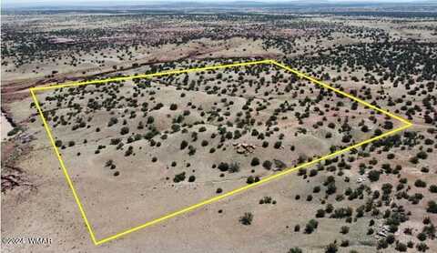 Tbd Old Hunt Rd - East, Concho, AZ 85924