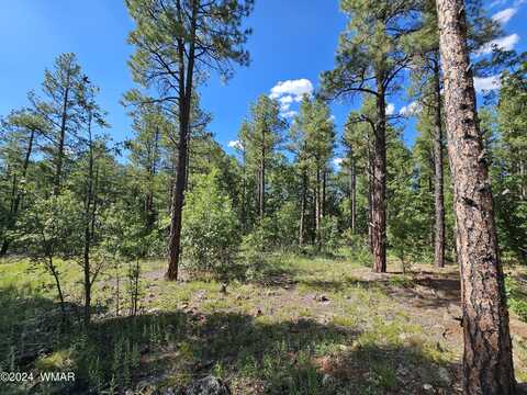 1390 Big Springs Trail, Lakeside, AZ 85929