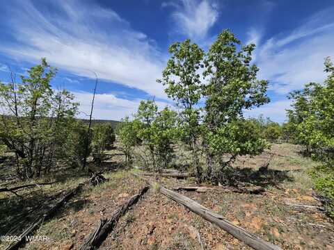 Tbd White Cloud Rd, Pinedale, AZ 85934