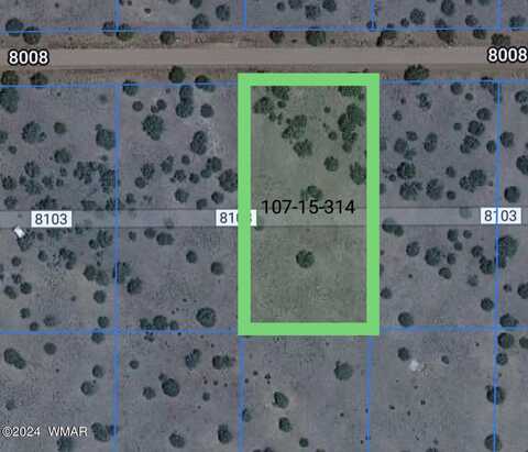 52 Co Road, Concho, AZ 85924