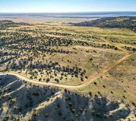 Lot 37 Woodland Valley Ranch, Saint Johns, AZ 85936