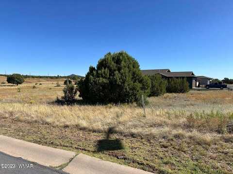 1061 S Lorenzo Sitgreaves Drive, Show Low, AZ 85901