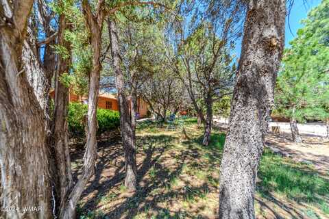 3396 Navajo Drive, Overgaard, AZ 85933