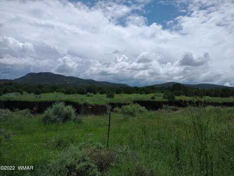 62 County Road 3033, Vernon, AZ 85940