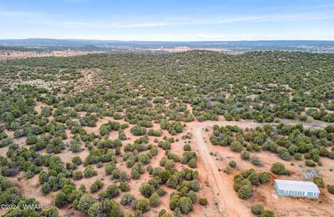 50xx Twilight Lane, Clay Springs, AZ 85923