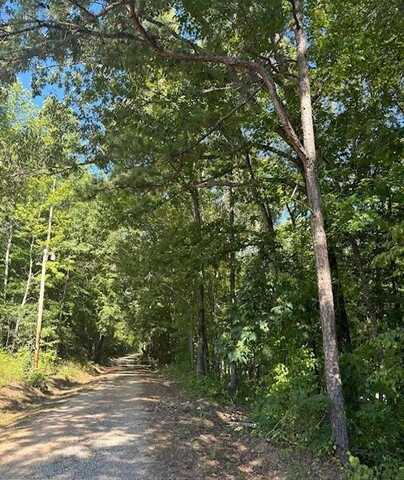 County Road 834, Wadley, AL 36276