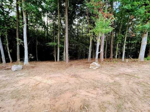 US Hwy 27 S (Approx 13.14 Acres), Roopville, GA 30170