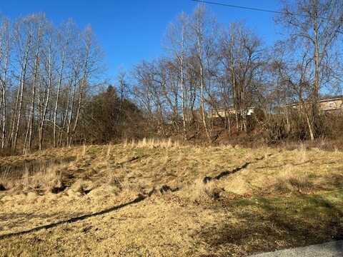 Lot #2 Route 56, Allegheny Twp - WML, PA 15068