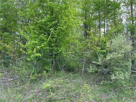 Lot 102 Lakewood Road, Unity, PA 15601