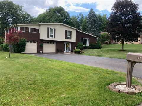 127 Lakeshore Dr, Centertown, PA 16001