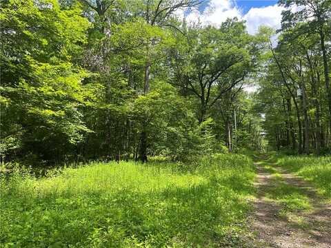 Lots 81,82,83,84 Innsbruck Trail, Jenner Twp, PA 15547