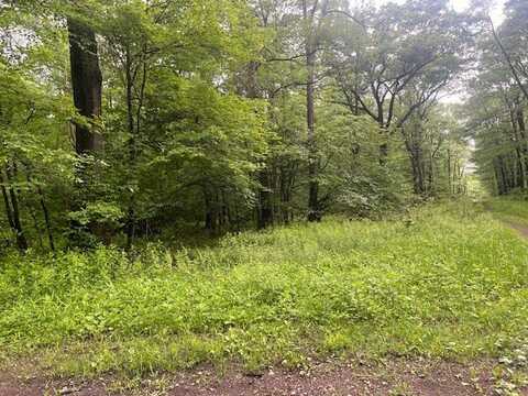 Lot 180 And 181 Laurel Summit Road, Jenner Twp, PA 15531