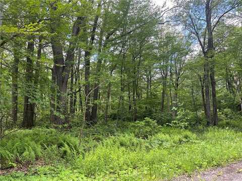 74,75,76,77 Innsbruck Trail, Jenner Twp, PA 15547