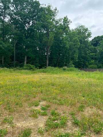 (lot 106) 1010 Goldeneye Dr, Marshall, PA 15005