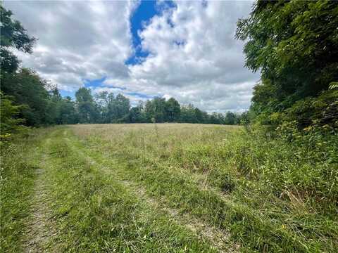 0 Nowrytown Rd, Saltsburg, PA 15681