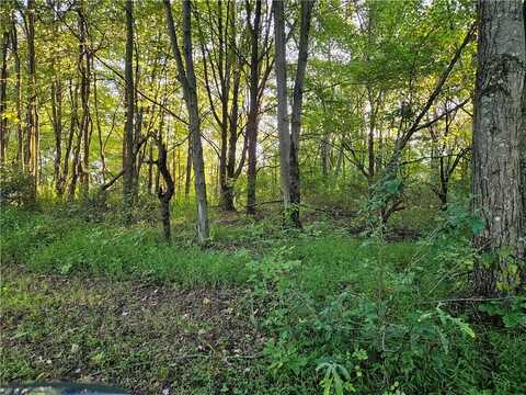 Lot 22 Crown Heights Dr, Shelocta, PA 15701