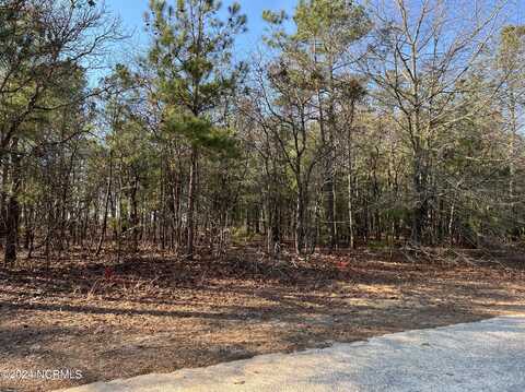 Lot 20 Old Tom Morris Road, Garland, NC 28441