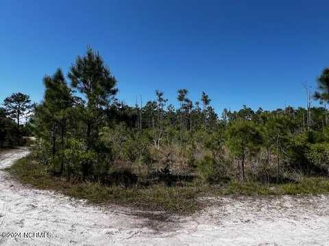 Lot 81 Trevino Road, Boiling Spring Lakes, NC 28461