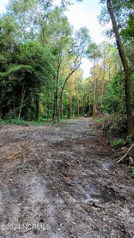 Lot 1 Beaman Woods Road, Clinton, NC 28328