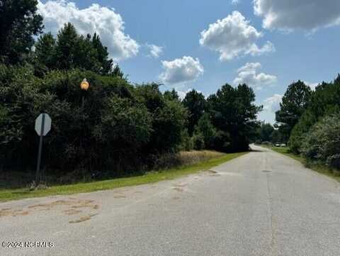 Lot 17 Welsh Landing Drive, Willard, NC 28478