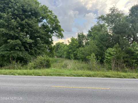 Parcel 2 Us 117 Highway, Burgaw, NC 28425