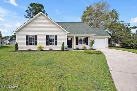 1613 Blue Tick Court, Wilmington, NC 28411