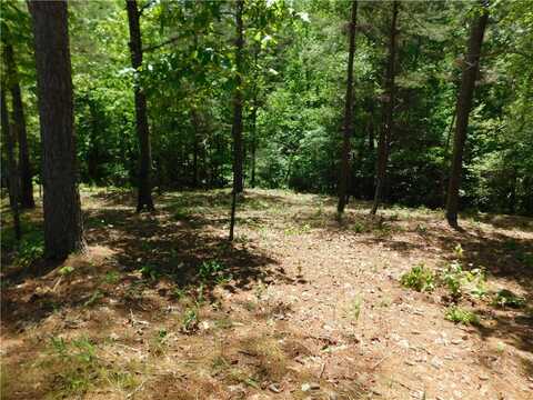 Lot 12 Canebrake Drive, Salem, SC 29676