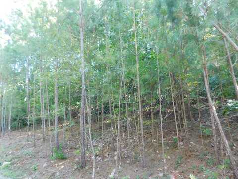 Lot 6 Bentwood Way, Salem, SC 29676