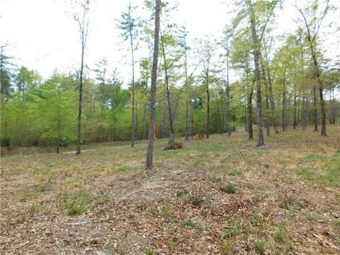 Lot 3 Old Chapman Bridge Road, Salem, SC 29676