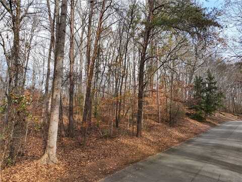 Lot 2 Santee Trail, Clemson, SC 29631