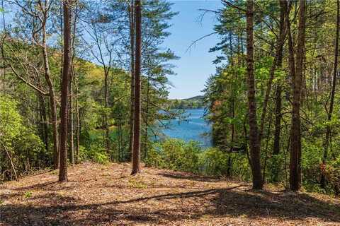 Lot 5 Canebrake Drive, Salem, SC 29676