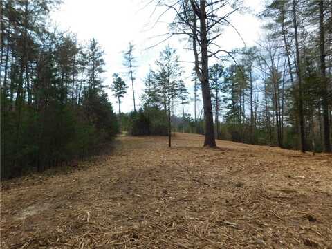 110 Horseback Trail, Sunset, SC 29685