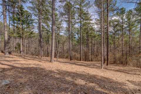 Lot 20 Grays Peak Drive, Salem, SC 29676