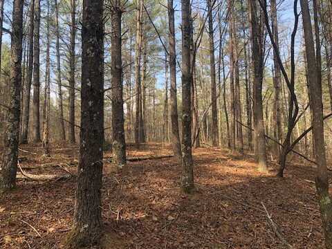 101 Dutchman's Pipe Trail, Sunset, SC 29685