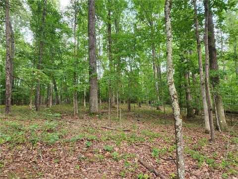 00 Shady Cove Trail, Seneca, SC 29678