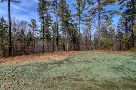 Lot 1 Grays Peak Drive, Salem, SC 29676