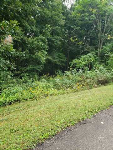 Lot #3 Oak Ridge Dr, Gallipolis, OH 45631