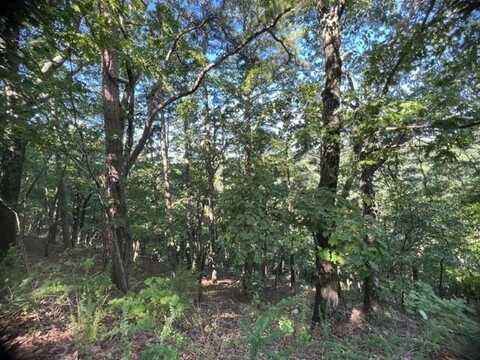 33 Thunderbird DR, Holiday Island, AR 72631