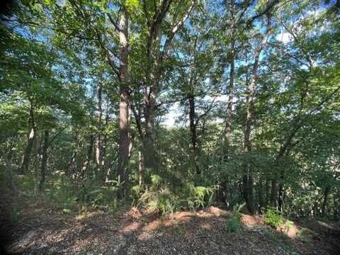 31 Thunderbird DR, Holiday Island, AR 72631