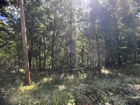 33 Wildcat LN, Holiday Island, AR 72631