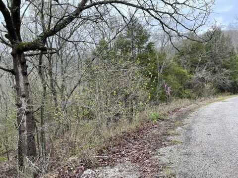 36 Starlite AVE, Holiday Island, AR 72631