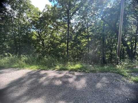 39 Wildcat LN, Holiday Island, AR 72631