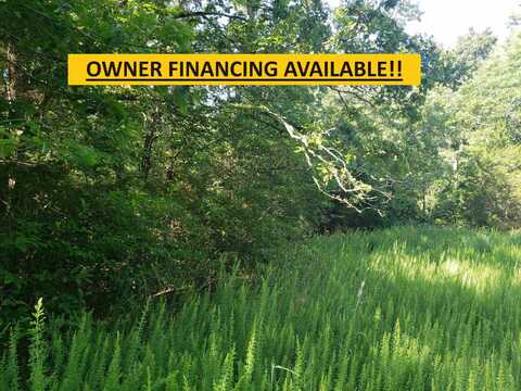 L-17, B-3 W Bokchito Circle, Cherokee Village, AR 72529