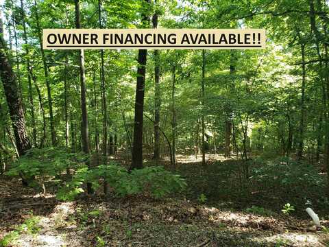 L-5, B-1 Arivaipa Drive, Cherokee Village, AR 72529