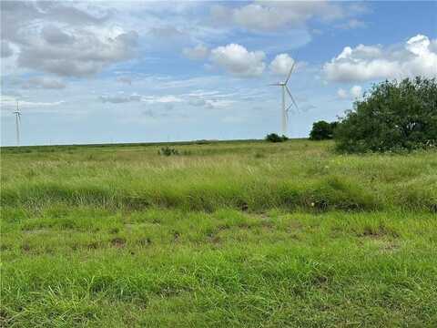 000 County Road 3501, Taft, TX 78390