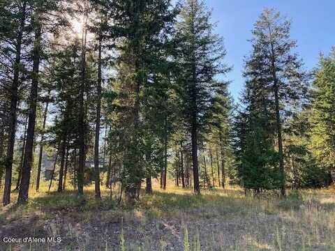 L4b10 N Walden Loop, Rathdrum, ID 83858