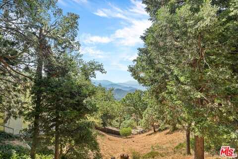 22771 Crest Forest Dr, Crestline, CA 92325